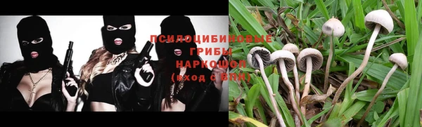 ПСИЛОЦИБИНОВЫЕ ГРИБЫ Мегион