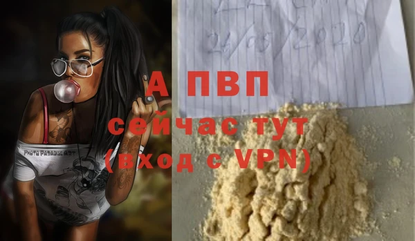 PSILOCYBIN Медвежьегорск